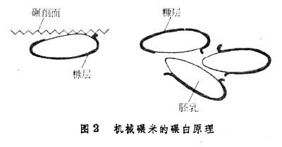 機(jī)械碾米的碾白原理