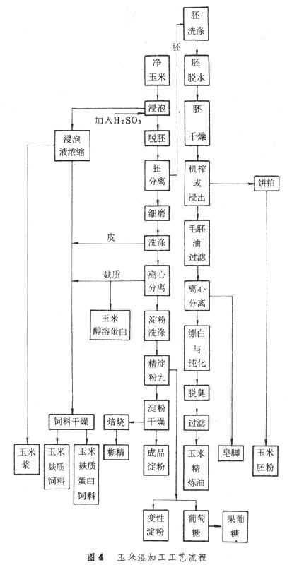 玉米濕加工工藝流程